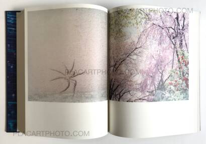 Rinko Kawauchi,Illuminance (Signed) Rinko Kawauchi,Illuminance (Signed)