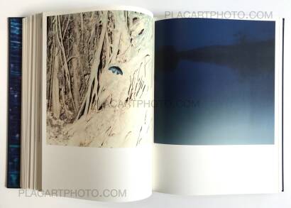 Rinko Kawauchi,Illuminance (Signed) Rinko Kawauchi,Illuminance (Signed)