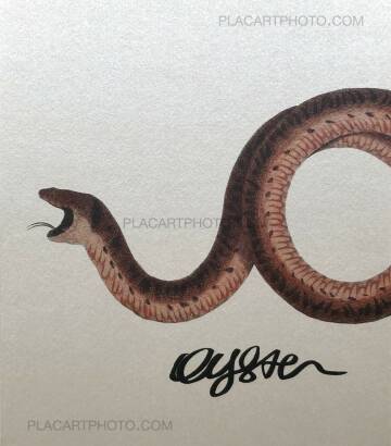 Marco Marzocchi,OYSTER (SIGNED) Marco Marzocchi,OYSTER (SIGNED)