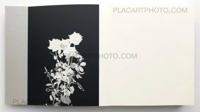 Marco Marzocchi,OYSTER (SIGNED) Marco Marzocchi,OYSTER (SIGNED)