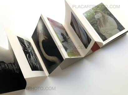 Marco Marzocchi,OYSTER (SIGNED) Marco Marzocchi,OYSTER (SIGNED)