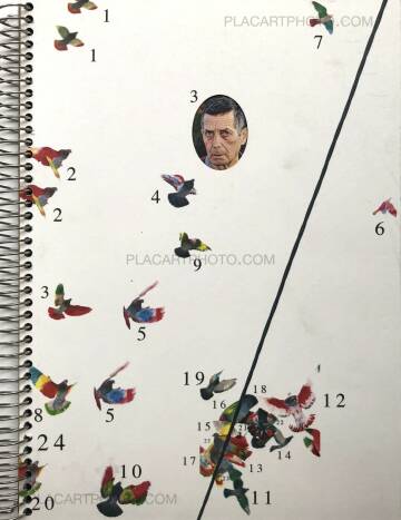Ricardo Cases,Paloma al aire Ricardo Cases,Paloma al aire