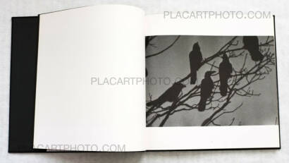 Masahisa Fukase,Karasu / Raven (Inscribed) + Envelope + Vintage print (Signed) Masahisa Fukase,Karasu / Raven (Inscribed) + Envelope + Vintage print (Signed)