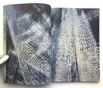 Daisuke Yokota,Berlin Daisuke Yokota,Berlin