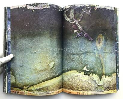 Daisuke Yokota,Berlin Daisuke Yokota,Berlin