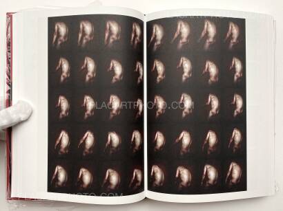 Antoine d'Agata,S.T.A.S.I.S (Signed copy) Antoine d'Agata,S.T.A.S.I.S (Signed copy)