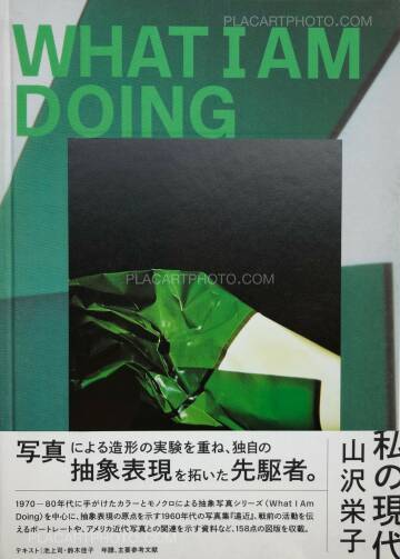 Eiko Yamazawa,What I am doing Eiko Yamazawa,What I am doing