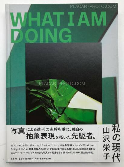 Eiko Yamazawa,What I am doing Eiko Yamazawa,What I am doing