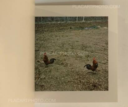 Sol Lewitt,Cock Fight Dance Sol Lewitt,Cock Fight Dance