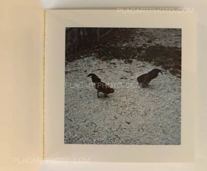 Sol Lewitt,Cock Fight Dance Sol Lewitt,Cock Fight Dance