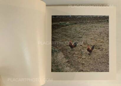 Sol Lewitt,Cock Fight Dance Sol Lewitt,Cock Fight Dance