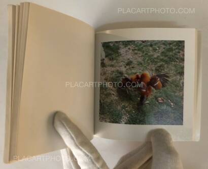 Sol Lewitt,Cock Fight Dance Sol Lewitt,Cock Fight Dance