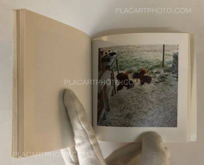 Sol Lewitt,Cock Fight Dance Sol Lewitt,Cock Fight Dance