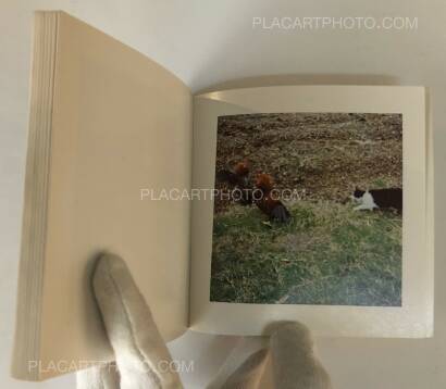 Sol Lewitt,Cock Fight Dance Sol Lewitt,Cock Fight Dance