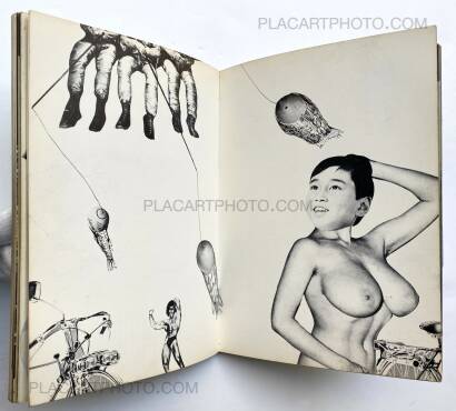 Collective,Mirai no sei Collective,Mirai no sei