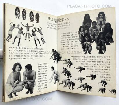 Collective,Mirai no sei Collective,Mirai no sei