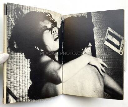 Collective,Mirai no sei Collective,Mirai no sei