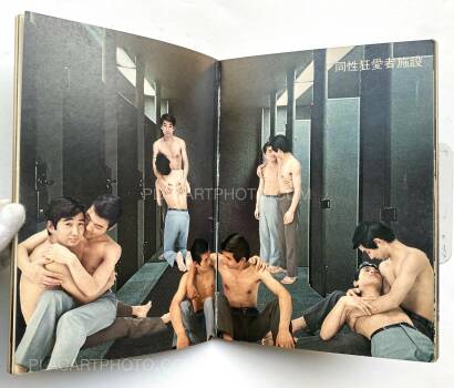 Collective,Mirai no sei Collective,Mirai no sei