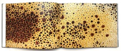 Trent Parke,The Black Rose Trent Parke,The Black Rose