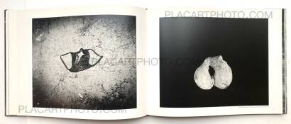 Trent Parke,The Black Rose Trent Parke,The Black Rose