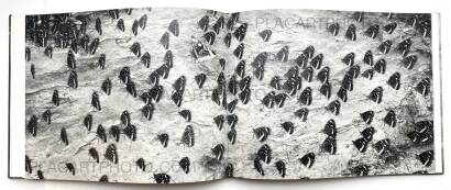 Trent Parke,The Black Rose Trent Parke,The Black Rose