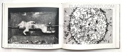 Trent Parke,The Black Rose Trent Parke,The Black Rose