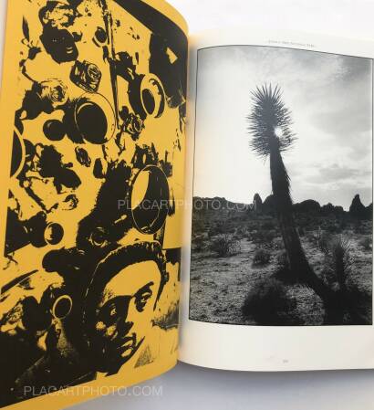 Michael Cooper,Blinds & Shutters (signed by 9 contributors) Michael Cooper,Blinds & Shutters (signed by 9 contributors)