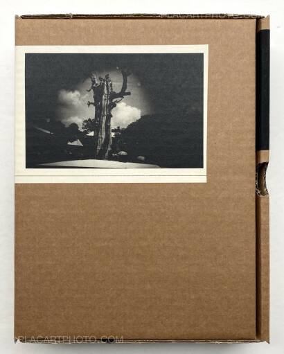 Valentino Barachini,FINCHÈ TORNERAI TERRA (100 copies numbered and signed) Valentino Barachini,FINCHÈ TORNERAI TERRA (100 copies numbered and signed)