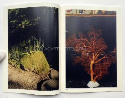 Valentino Barachini,CUORE VELATO (100 copies numbered and signed) Valentino Barachini,CUORE VELATO (100 copies numbered and signed)