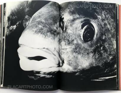 Osamu Takizawa,GESTATION OF A DREAM (Association copy) Osamu Takizawa,GESTATION OF A DREAM (Association copy)