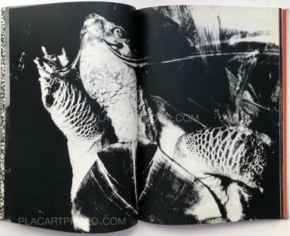 Osamu Takizawa,GESTATION OF A DREAM (Association copy) Osamu Takizawa,GESTATION OF A DREAM (Association copy)