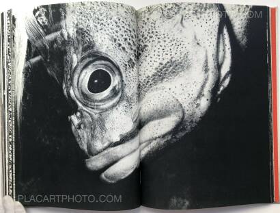Osamu Takizawa,GESTATION OF A DREAM (Association copy) Osamu Takizawa,GESTATION OF A DREAM (Association copy)