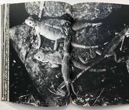 Osamu Takizawa,GESTATION OF A DREAM (Association copy) Osamu Takizawa,GESTATION OF A DREAM (Association copy)