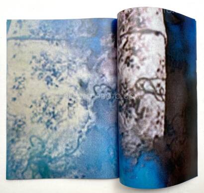 Daisuke Yokota,Room/ Rabbit (Signed) Daisuke Yokota,Room/ Rabbit (Signed)