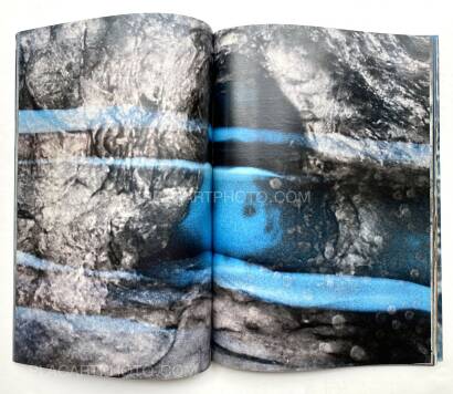 Daisuke Yokota,Room/ Rabbit (Signed) Daisuke Yokota,Room/ Rabbit (Signed)