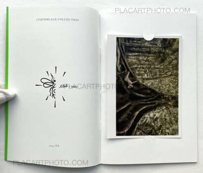 Cassio Vasconcellos,Dryads and Fauns (Limited Edition 250 Copies + signed C print) Cassio Vasconcellos,Dryads and Fauns (Limited Edition 250 Copies + signed C print)