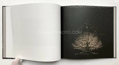 Masao Yamamoto,SASANAMI Masao Yamamoto,SASANAMI