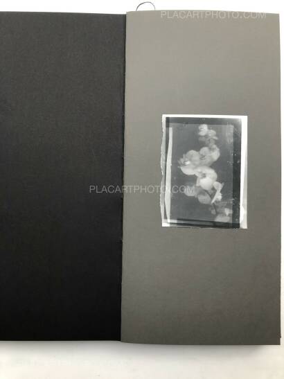 Laura Rodari,THE GRAY LINE (ARTIST'S EDITION OF 11) Laura Rodari,THE GRAY LINE (ARTIST'S EDITION OF 11)