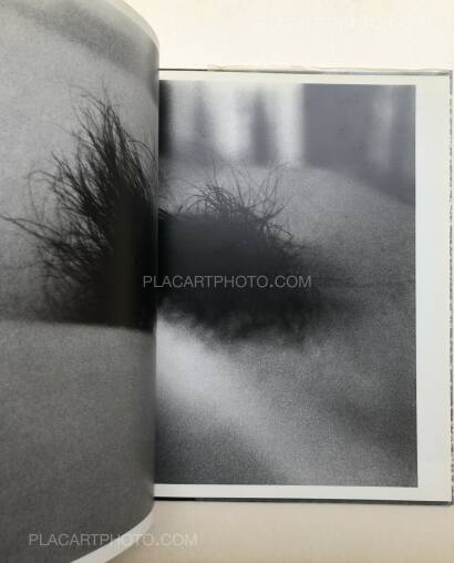 Daido Moriyama,Imitation (signed) Daido Moriyama,Imitation (signed)