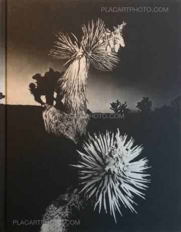 Chris Shaw,Horizon Icons (Signed) Chris Shaw,Horizon Icons (Signed)