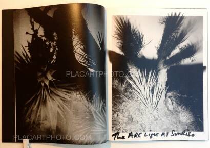 Chris Shaw,Horizon Icons (Signed) Chris Shaw,Horizon Icons (Signed)