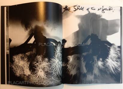 Chris Shaw,Horizon Icons (Signed) Chris Shaw,Horizon Icons (Signed)