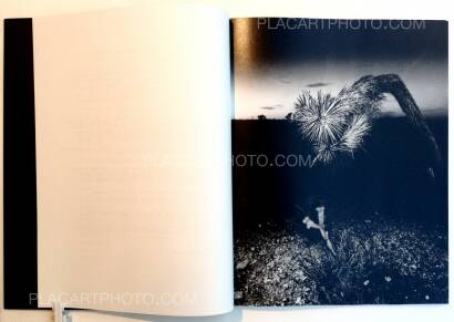 Chris Shaw,Horizon Icons (Signed)