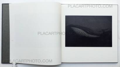 Chieko Shiraishi ,Shimakage/ Island shadow (Signed) Chieko Shiraishi ,Shimakage/ Island shadow (Signed)