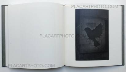 Chieko Shiraishi ,Shimakage/ Island shadow (Signed) Chieko Shiraishi ,Shimakage/ Island shadow (Signed)