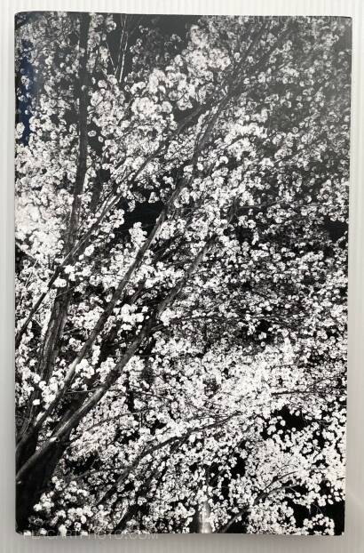 Aaron Stern,AN UNINTERRUPTED LINE (Signed) Aaron Stern,AN UNINTERRUPTED LINE (Signed)