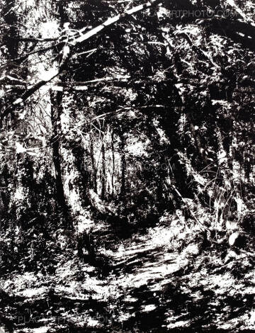 Patricia Almeida,All Beauty Must Die Patricia Almeida,All Beauty Must Die