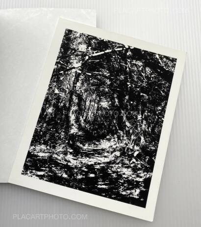 Patricia Almeida,All Beauty Must Die Patricia Almeida,All Beauty Must Die