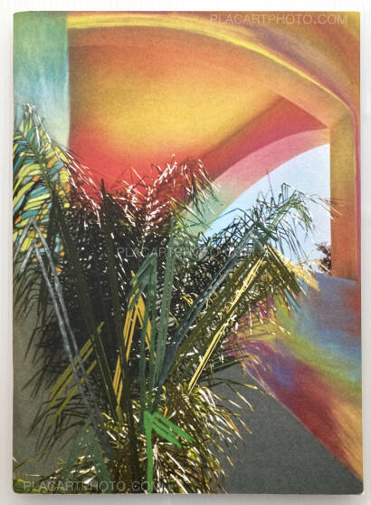 Sam Falls,Paint Paper Palms