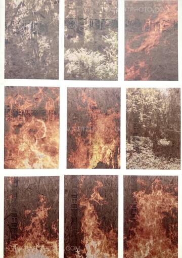 Peter Sutherland,FLAMES Peter Sutherland,FLAMES